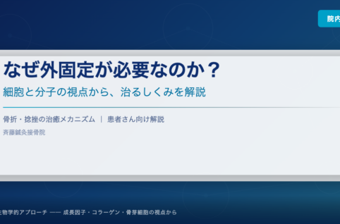 なぜ外固定が必要なのか？細胞と分子の視点から治るしくみを解説