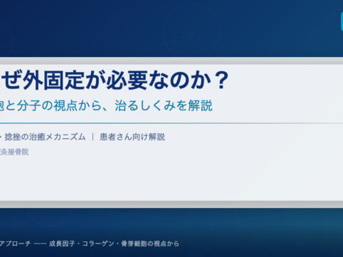 なぜ外固定が必要なのか？細胞と分子の視点から治るしくみを解説